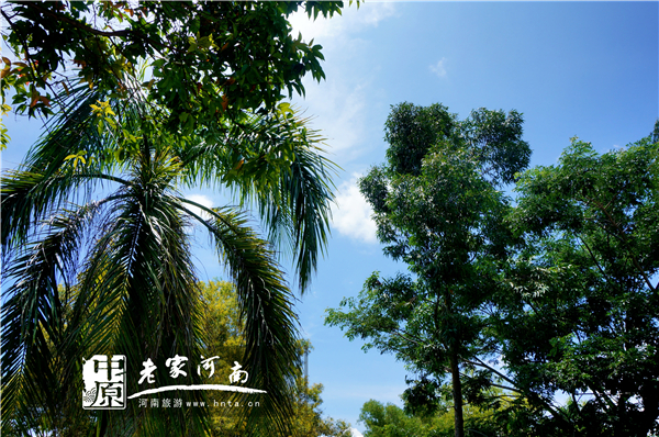 金秋沙巴游 (暑假去沙巴旅游攻略)