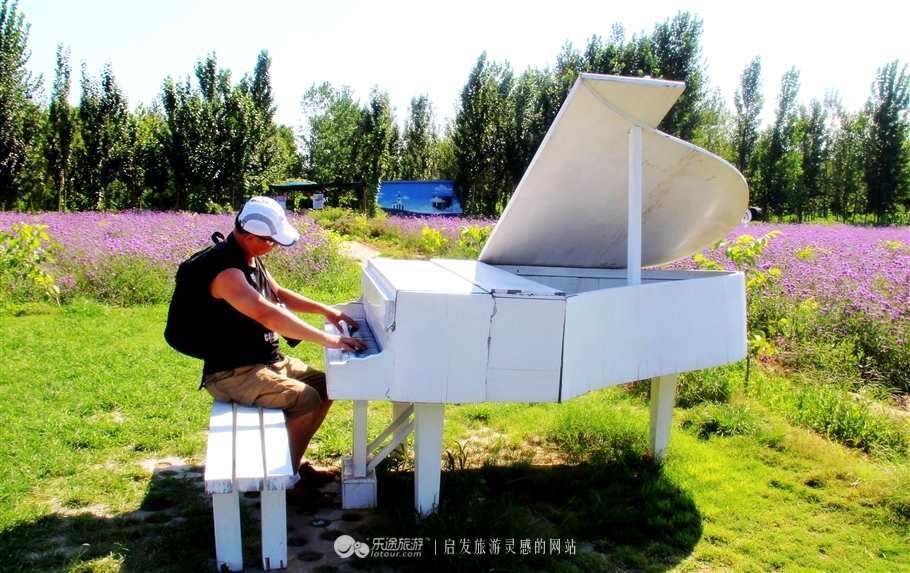 薰衣草庄园室内设计案例,薰衣草庄园的拍摄与着装搭配