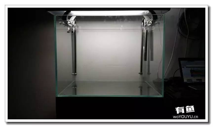 新手小白原生缸开缸教程,鱼缸怎么用高锰酸钾开缸详细教程