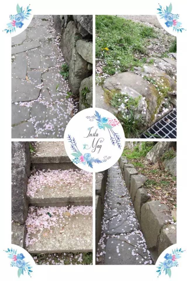 中国妹子在日本的独自奋斗史(上)