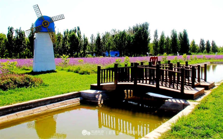 薰衣草庄园室内设计案例,薰衣草庄园的拍摄与着装搭配