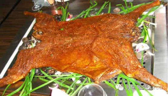 塞罕坝周末游,塞罕坝避暑攻略