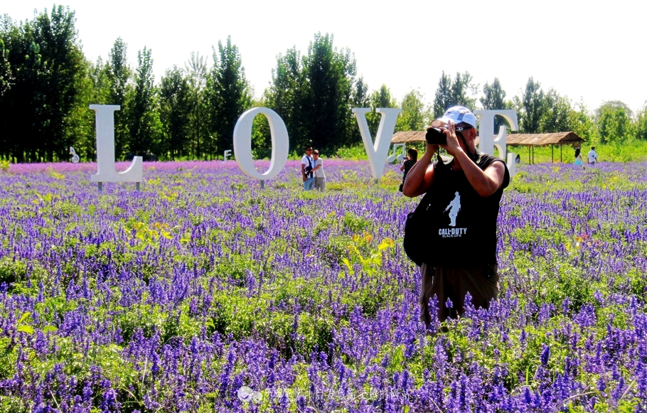 薰衣草庄园室内设计案例,薰衣草庄园的拍摄与着装搭配
