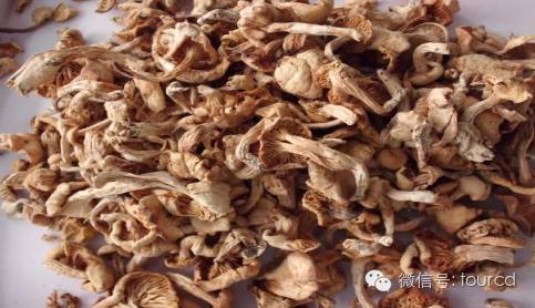 塞罕坝周末游,塞罕坝避暑攻略