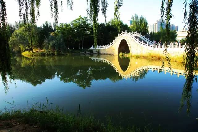 五一可以带孩子去银川吗,银川真的适合带孩子去吗