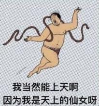 温网今天最新消息,温网最新资讯