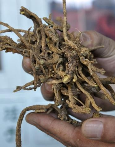 许富昌中医怎么样,老中医许富昌怎么样