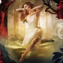 音乐节8月上海,8月上海音乐演出