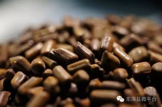 决明子沙池儿童安全吗,小朋友沙滩玩耍有哪些危险