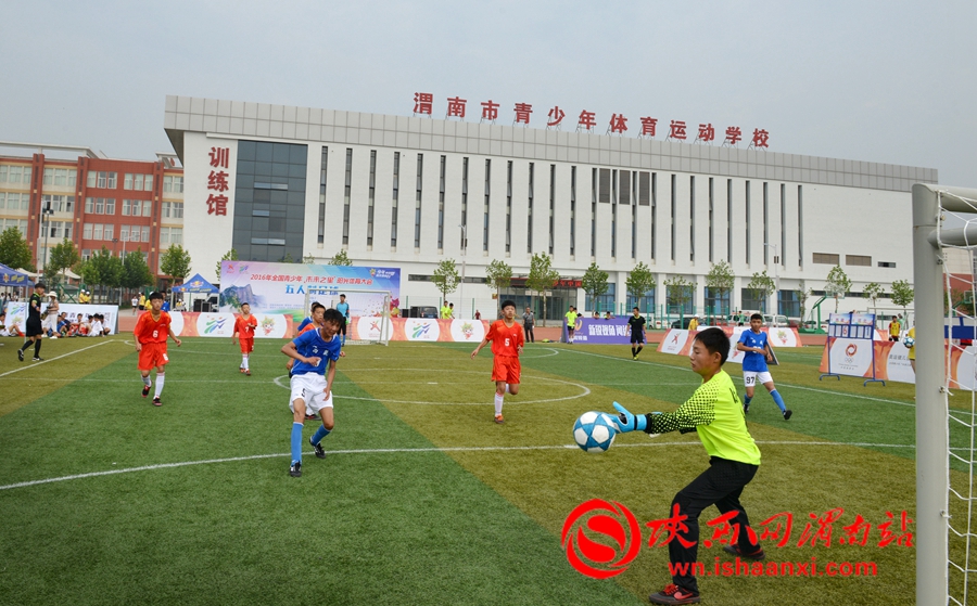 2023未来之星阳光体育大会,2017未来之星夏季阳光体育活动