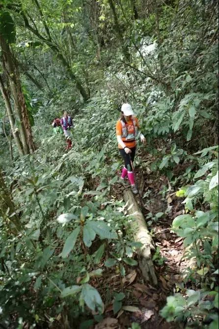 红军精神照我行——花甲老人100公里越野跑全记录
