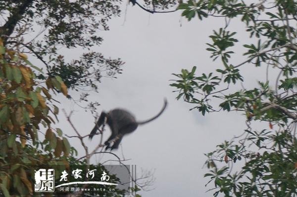 金秋沙巴游 (暑假去沙巴旅游攻略)