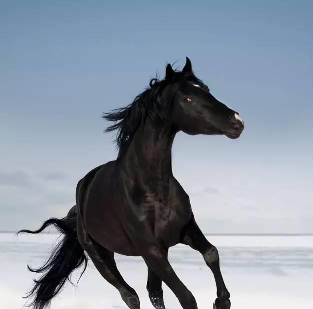 三味一体——超级微商什么理由让你害怕和惊醒