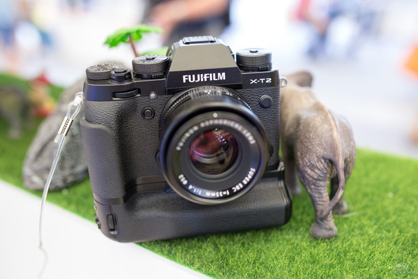 2019年全画幅相机哪款值得买,2019非全画幅单反相机推荐