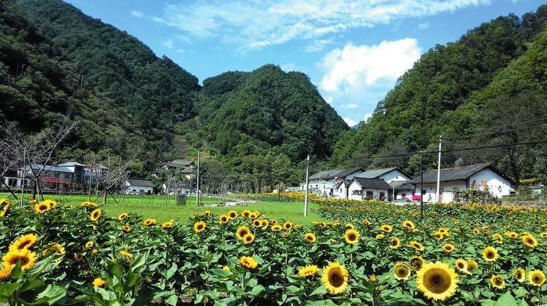 陕西100个示范村名单 (陕西省级示范村名单)