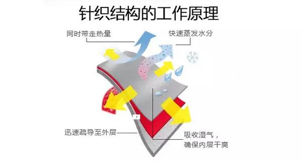 史上最全的运动内衣挑选攻略,怎么挑选跑步时的运动内衣