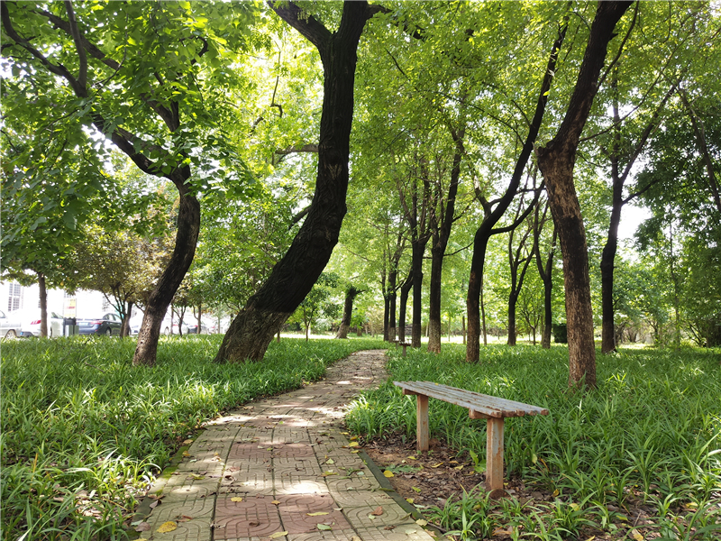 美图m6自拍效果怎么样,美图m6自拍功能怎么样