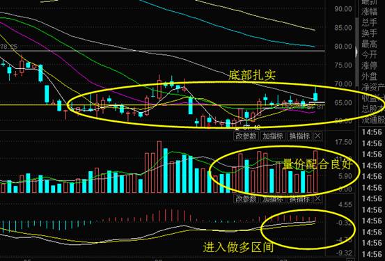 a股的春天绿油油,a股全绿怎么回事