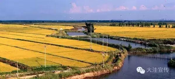 五载流金岁月　铸就风华大洼