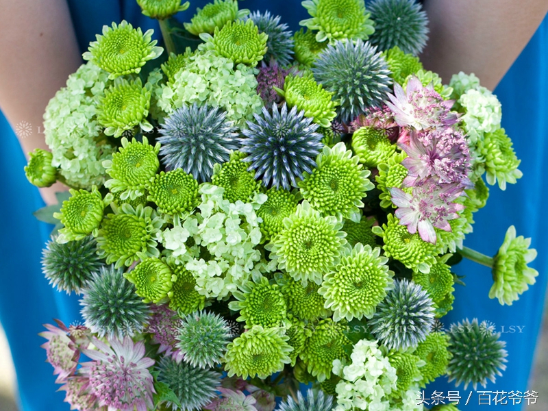 鲜花礼仪送花流程,送花礼仪有哪些