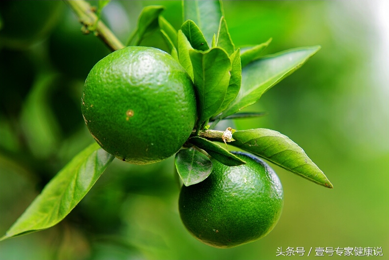 中医说舌头淡是什么原因,中医讲舌头发紫是啥原因