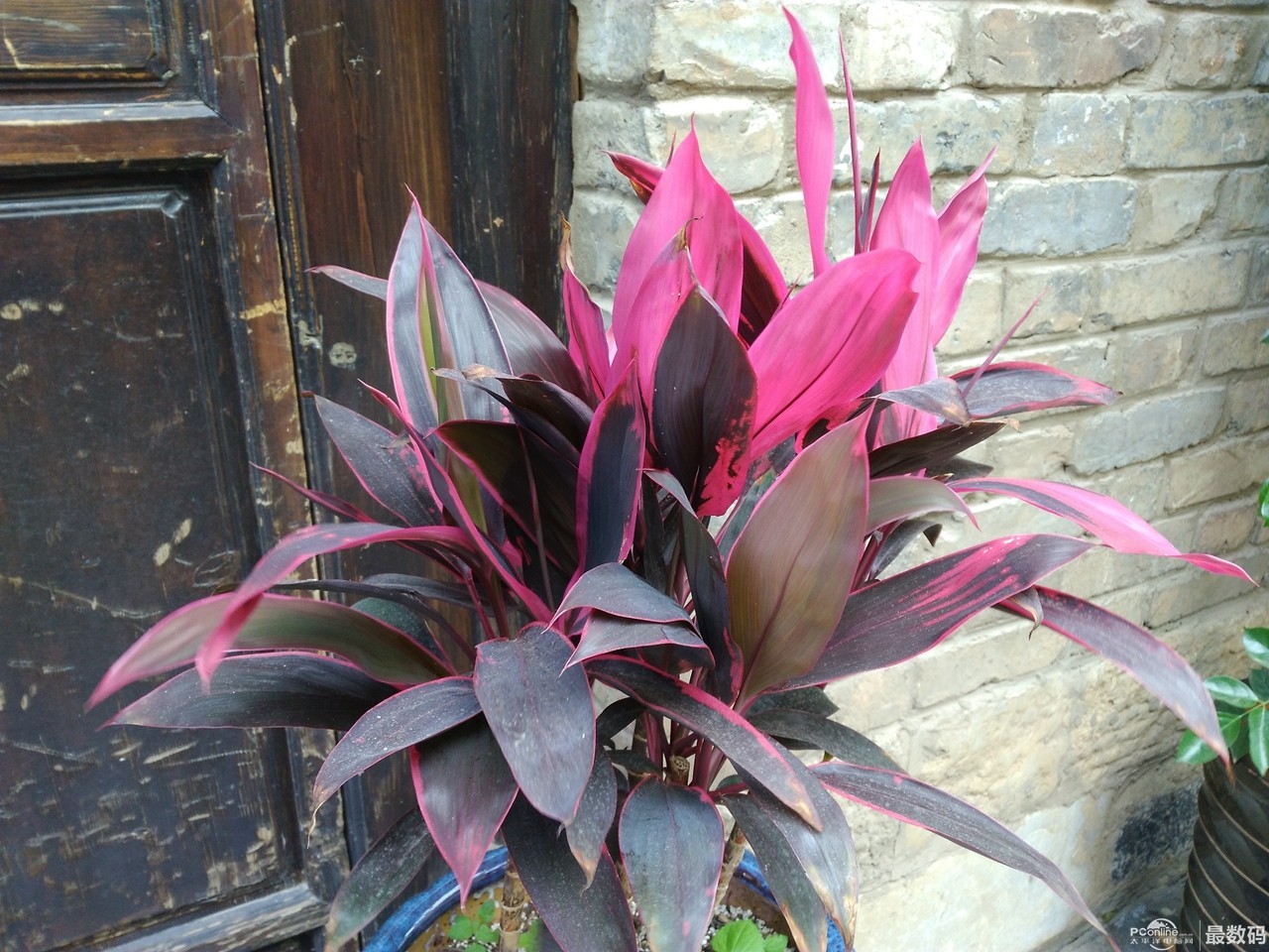 华为手机平板无缝协同,华为手机与平板多屏协同画质