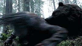 两名俄罗斯人把棕熊打成重伤?假的