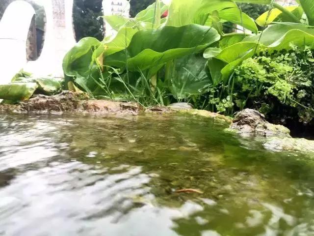 西班牙巴塞罗那自由行热门攻略,西班牙怎么玩