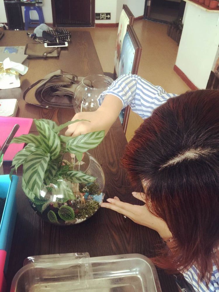 在青蓝树培养艺术“细菌”