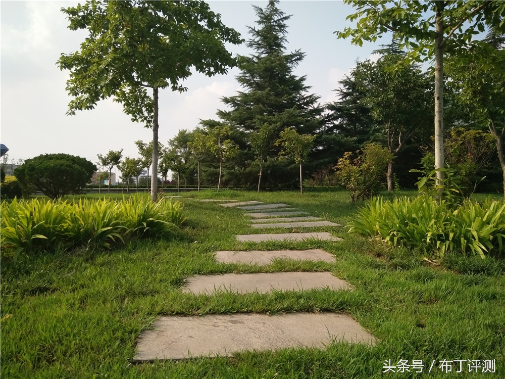 不止是1600万像素柔光自拍，vivox7全面体验评测！