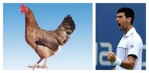 网络十二生肖搞笑,足球运动员十二生肖