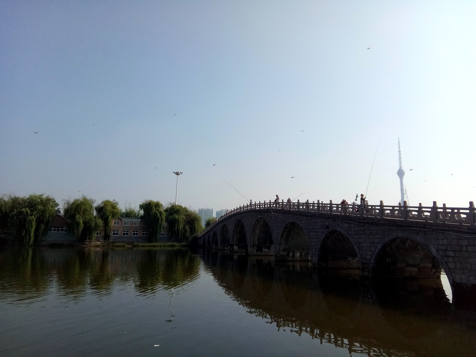 小品牌性价比电动车,酷比max5参数