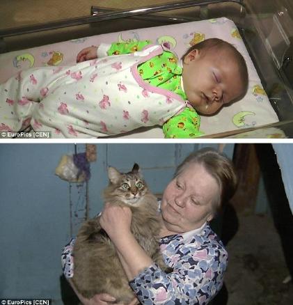 尾气猫,尾气猫视频