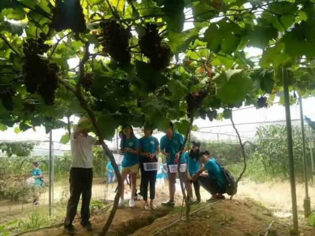 毕业旅游江西,毕业旅行去福建哪里旅游