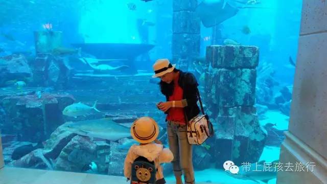 我是怎么在旅行中让娃学会英语的？7大技巧，分分钟牛娃！