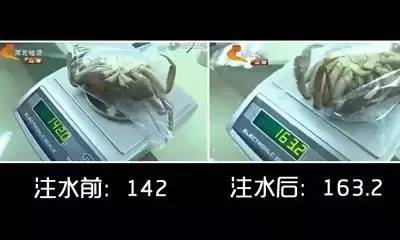 六月黄，令苏州人“魂牵梦萦”的那一口鲜嫩浓香的黄金膏油~来了！