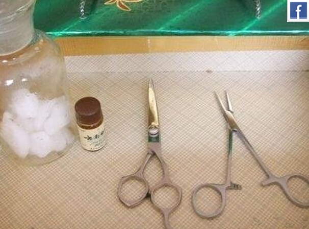 为了省钱自己给狗剪毛搞笑,给宠物狗剪毛它不听话怎么办