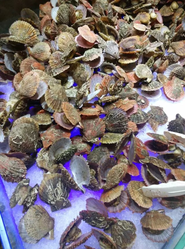 好伦哥海鲜自助长江广场店,好伦哥海鲜自助北京旗舰店