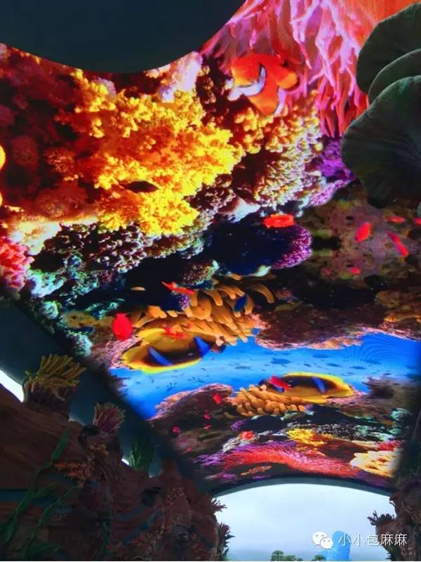 珠海长隆动物园游记,游记长隆动物园