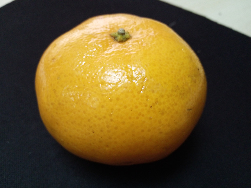 vivox6上手体验,vivox6使用感受