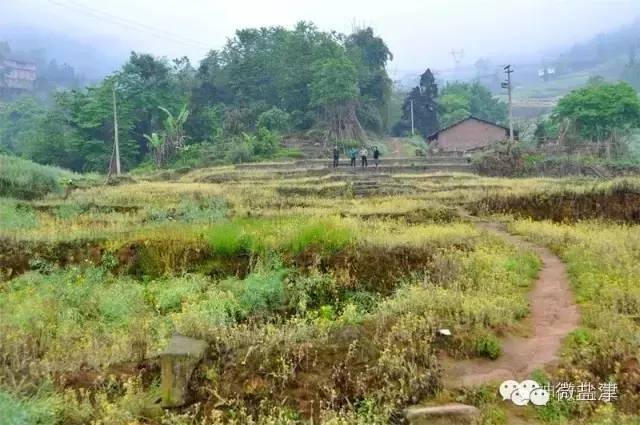 盐津普洱夷都“乌蒙王”罗星史略