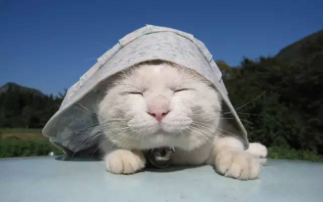 当有人说你胖时如何阴阳回击,别人损你胖怎么回击