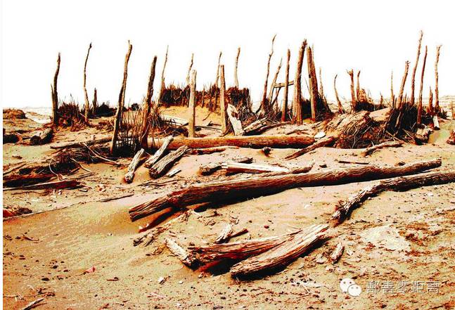 中国滨沙之城——*疆新**鄯善