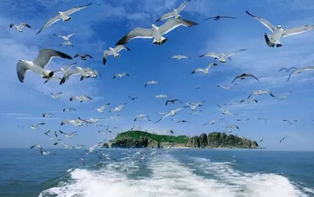 辽宁景点门票,辽宁省景点大全一览表