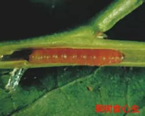 便宜没好货贵了也未必就一定好,便宜没好货别等上当再后悔