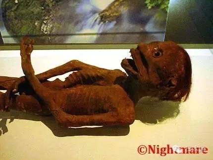 是真是假?日本传说中的河童天狗人鱼的木乃伊