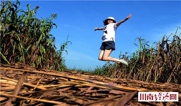 泸州人家红高粱,泸州红高粱38度价格