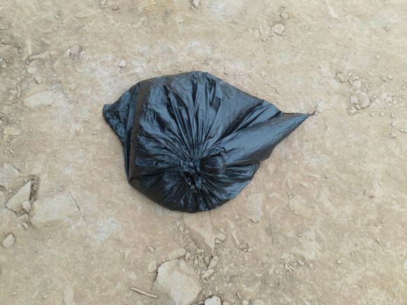 “射鸡”历险记打鸡血然后。