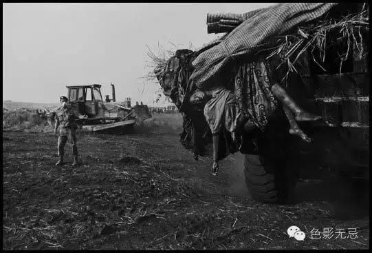 经历了枪林弹雨的岁月,经历了战场的腥风血雨