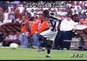 青春若是一张不老的脸,青春若是有张不老的脸